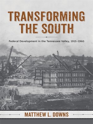 cover image of Transforming the South